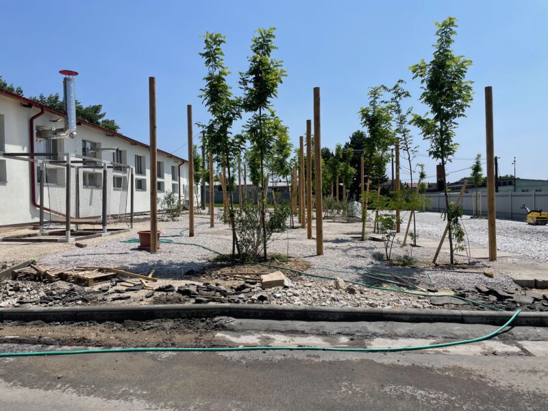 POCKET PARK KORNFEIL