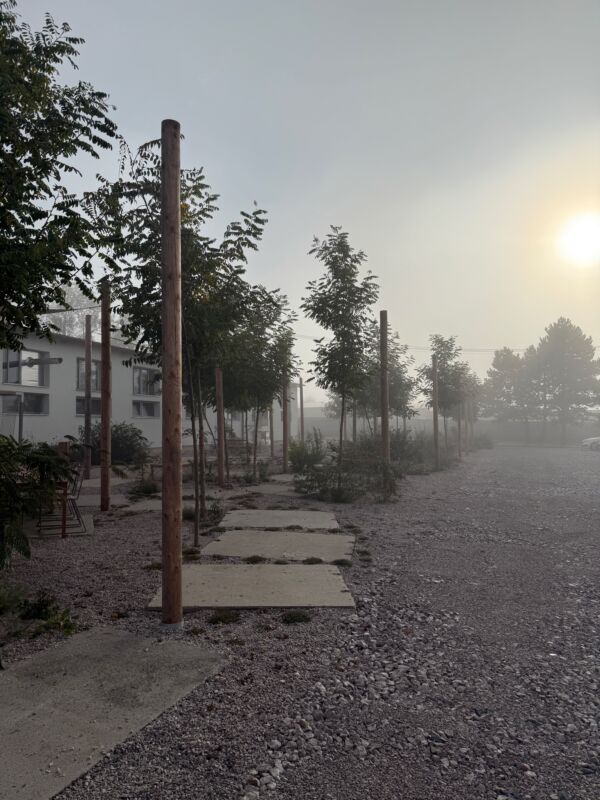 POCKET PARK KORNFEIL